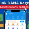 Klik Link Saldo DANA Gratis Rp230.456 di Sini Sekarang!