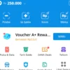ASIK! Dapat Saldo DANA Gratis Rp250 Ribu Cuma Isi Survei di Aplikasi ini