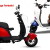 Sepeda Listrik Roda 3 Terpopuler