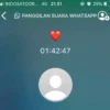 Ini Alasan Pemerintah Mau Batasi Layanan WhatsApp Call
