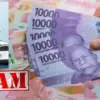 Cara mendapatkan kembali uang di aplikasi Risetcar