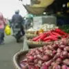 Ilustrasi : bawang merah, jadi salah satu bahan pangan pokok yang alami kenaikan di Kota Bandung, (Jabarekspre