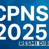 CPNS 2025 Dibuka, Ini Bocoran Jadwal, Formasi, dan Persyaratannya