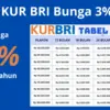 Panduan Lengkap Mengajukan KUR BRI.