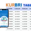 Cara Mengajukan Pinjaman BRI Lewat HP, Praktis Tanpa ke Kantor Cabang