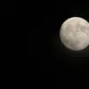 Ilustrasi Bulan Purnama Sturgeon Moon.