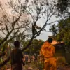 Pohon Tumbang di Batununggal Tutup Akses Jalan, Warga Harap Pemkot Antisipasi Kejadian Serupa