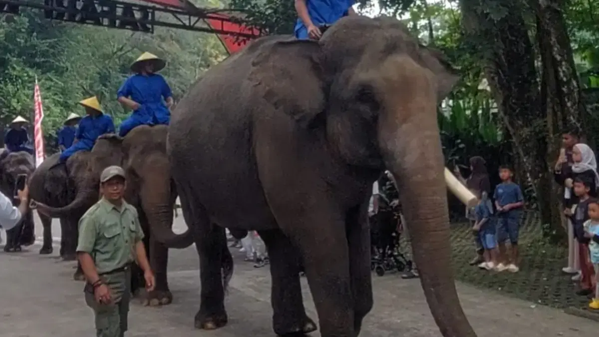 Semarak Jungle Forest Carnival, Cara Taman Safari Bogor Rayakan Hari Kemerdekaan 