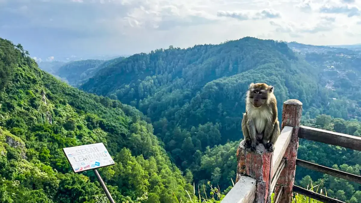 BMKG Ungkap Fakta Aktivitas Kegempaan Sesar Lembang BMKG Ungkap Fakta Aktivitas Kegempaan Sesar Lembang