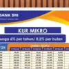 Ini Cara Mudah Ajukan KUR BRI 2025 Secara Online dengan Bunga Rendah dan Tenor Fleksibel!