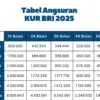 Ini Tabel Angsuran Terbaru KUR BRI 2025 Pinjaman 100 Juta, Berikut Syarat dan Ketentuannya!