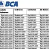 Coba Ajukan KUR BCA, Ini Rincian Tabel, Angsuran, dan Pinjaman hingga Rp100 Juta