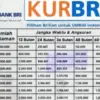 KUR BRI 2025 Pinjaman 1 Juta Hingga 70 Juta dengan Cicilan 50 Ribu Per Hari? Cek Disini!