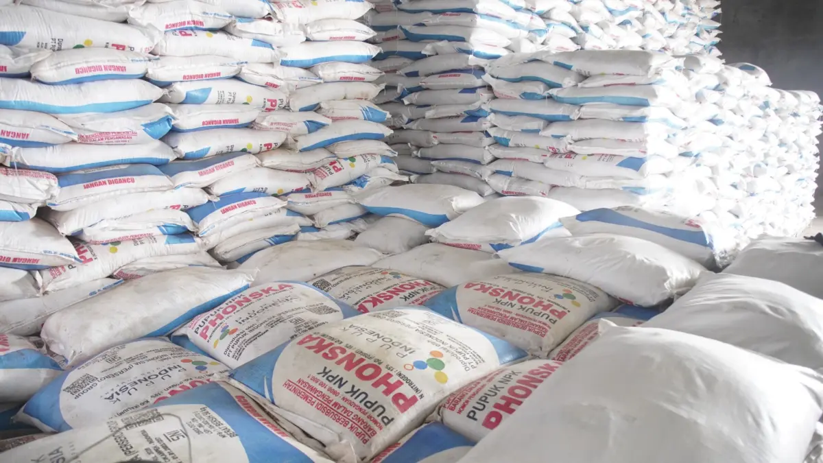 Evaluasi Tata Kelola Distribusi Pupuk Subsidi, Kementan Jamin Petani Tak Kesulitan?