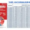 Tabel Angsuran KUR BRI 2025 Pinjaman 500 Juta, Bunga dan Cicilan Super Ringan!