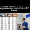Tabel KUR BRI 2025 Plafon Rp 80 Juta dengan Perhitungan Angsuran Perhari dan Perbulan!