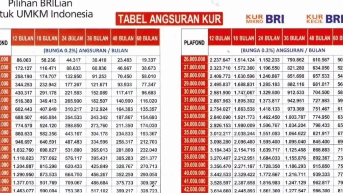 Tabel KUR BRI 2025 Super Mikro Pinjaman Rp 50 Juta dengan Cicilan Ringan Banget, Khusus di Bulan Agustus!