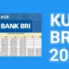 Tabel Cicilan KUR BRI 2025 dengan Pinjaman 50 Juta dan Cicilan 70 Ribu Per Hari