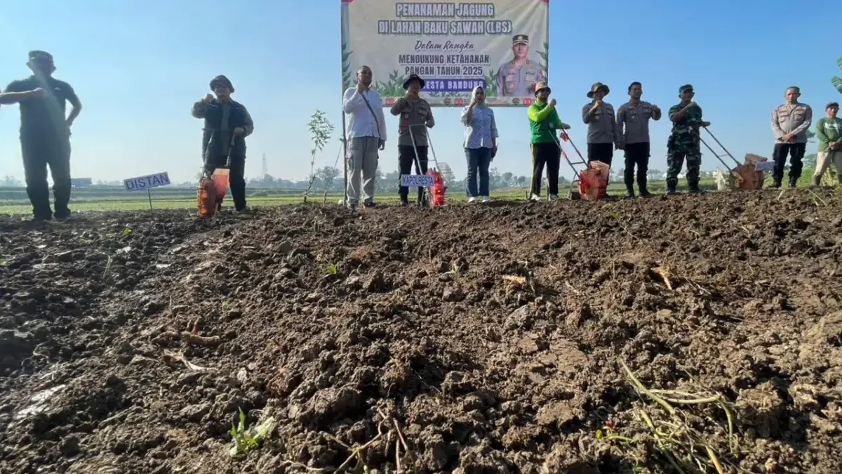 Dukung Ketahanan Pangan Nasional, 8,6 Hektare Lahan Tidur di Kabupaten Bandung Diaktifkan! Sekitar 8,6 hektare lahan tidur di wilayah Kabupaten Bandung mulai diaktifkan kembali melalui program penanama