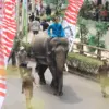 Semangat Kemerdekaan di Taman Safari Bogor: