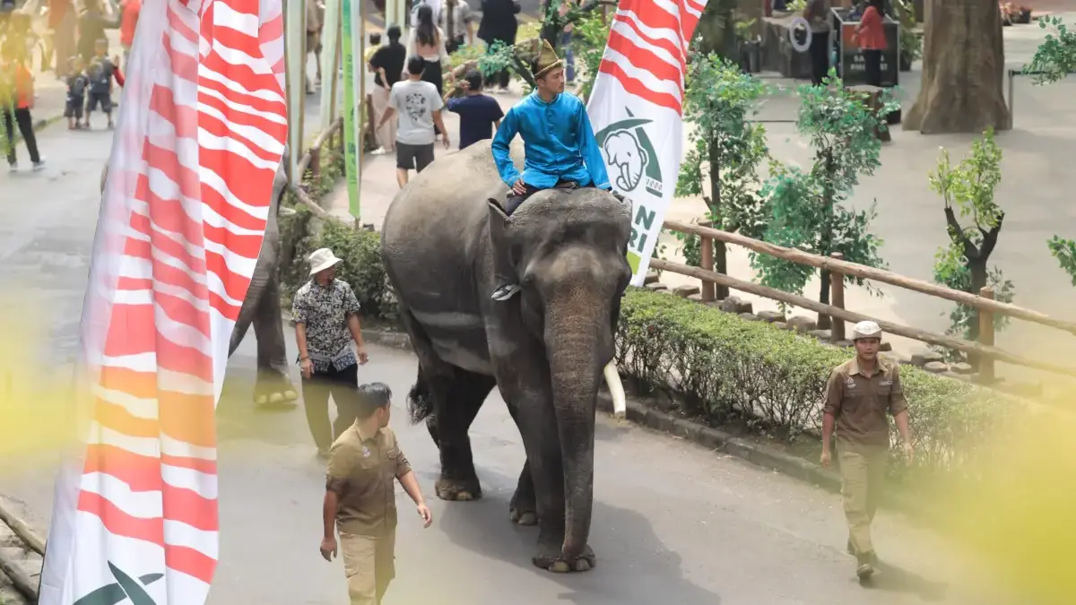 Semangat Kemerdekaan di Taman Safari Bogor: Nikmati Parade Satwa & Promo Agustus Seru! Semangat Kemerdekaan di Taman Safari Bogor: