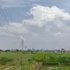 Lahan Sawah di Kota Bandung Menyusut Tajam Akibat Pembangunan, Pemkot Janji Sikat Perumahan Tak Berizin?