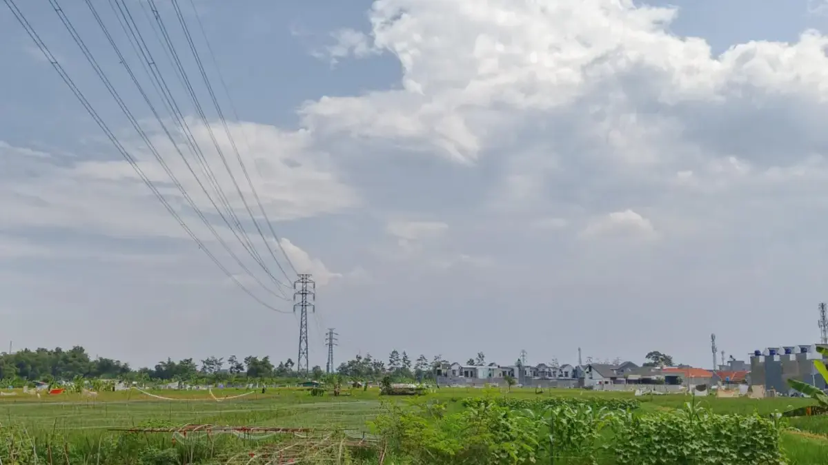 Lahan Sawah di Kota Bandung Menyusut Tajam Akibat Pembangunan, Pemkot Janji 'Sikat' Perumahan Tak Berizin? Lahan Sawah di Kota Bandung Menyusut Tajam Akibat Pembangunan, Pemkot Janji Sikat Perumahan Tak Berizin?