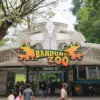Wakil Wali Kota Bandung Soroti Kisruh Bandung Zoo, Tegaskan Pengamanan Aset Harus Sesuai Aturan