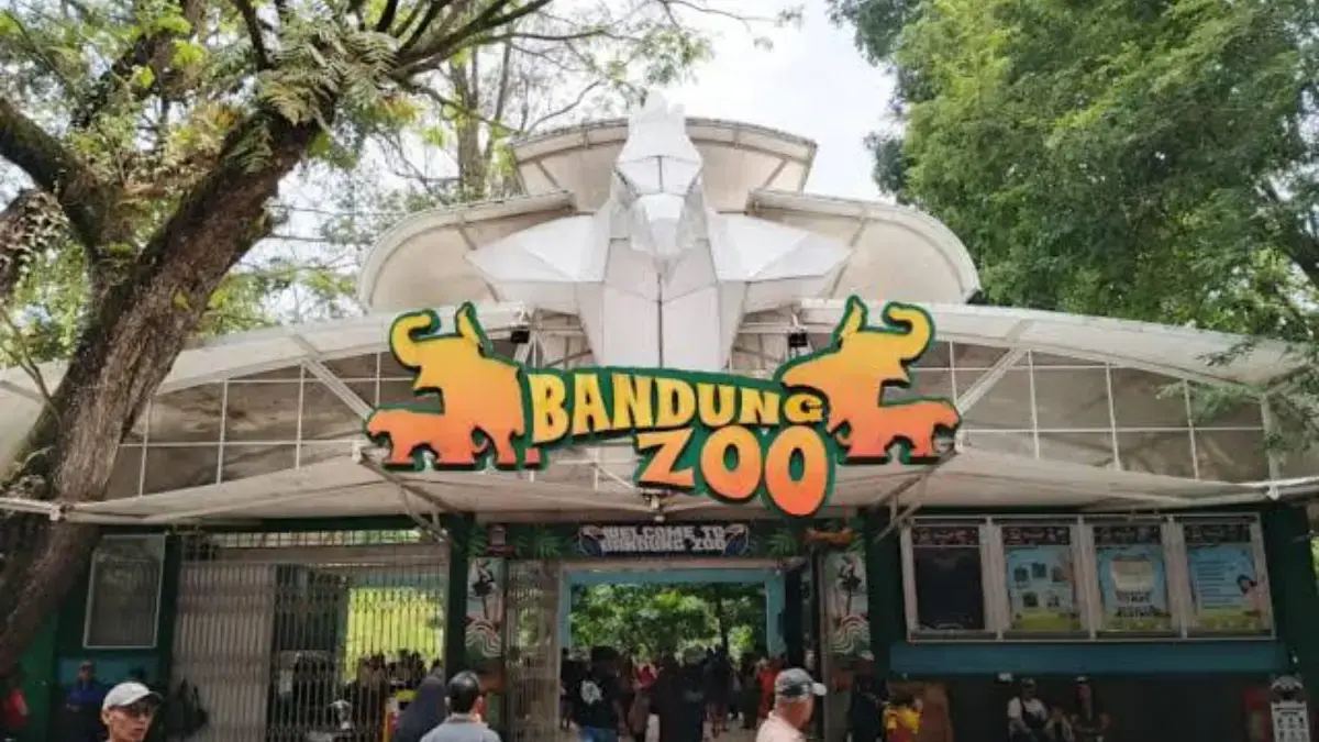 Wakil Wali Kota Bandung Soroti Kisruh Bandung Zoo, Tegaskan Pengamanan Aset Harus Sesuai Aturan