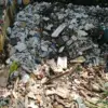 Keterbatasan Kewenangan DPKP Kota Cimahi dalam Penanganan Sampah di Sungai Jadi Kendala Utama