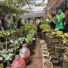Kelompok Wanita Tani (KWT) saat menunjukkan hasil panen di kebun pekarangan rumah (Dok. Jabar Ekspres)