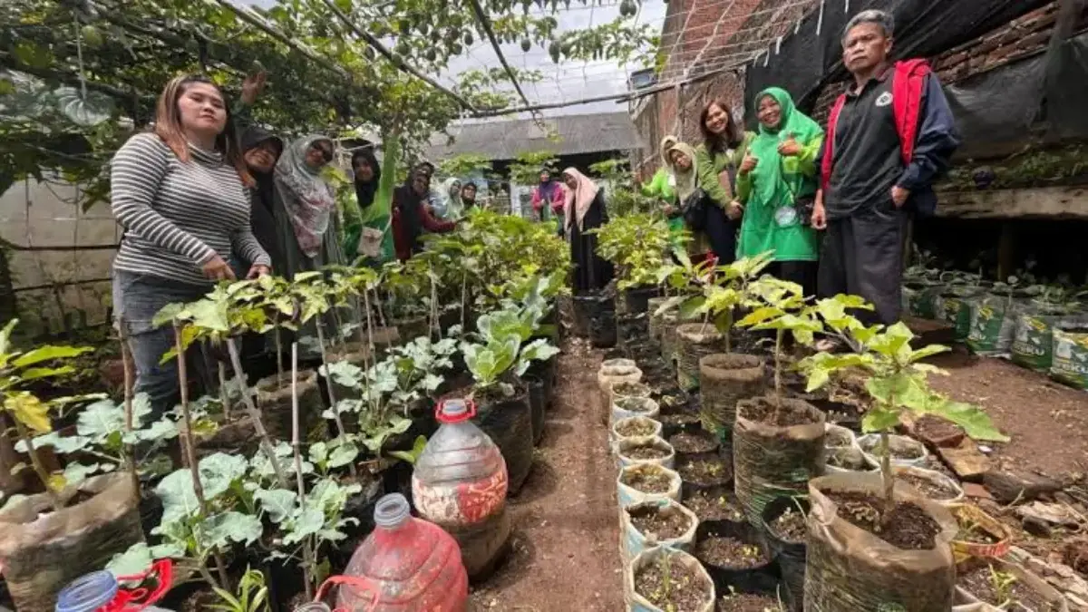 Cimahi Kekurangan Lahan Pertanian, Dispangtan Optimalisasi KWT untuk Ketahanan Pangan Kelompok Wanita Tani (KWT) saat menunjukkan hasil panen di kebun pekarangan rumah (Dok. Jabar Ekspres)