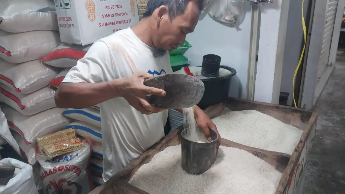 Harga Beras Dunia Anjlok, Imbas RI Tak Lagi Impor?
