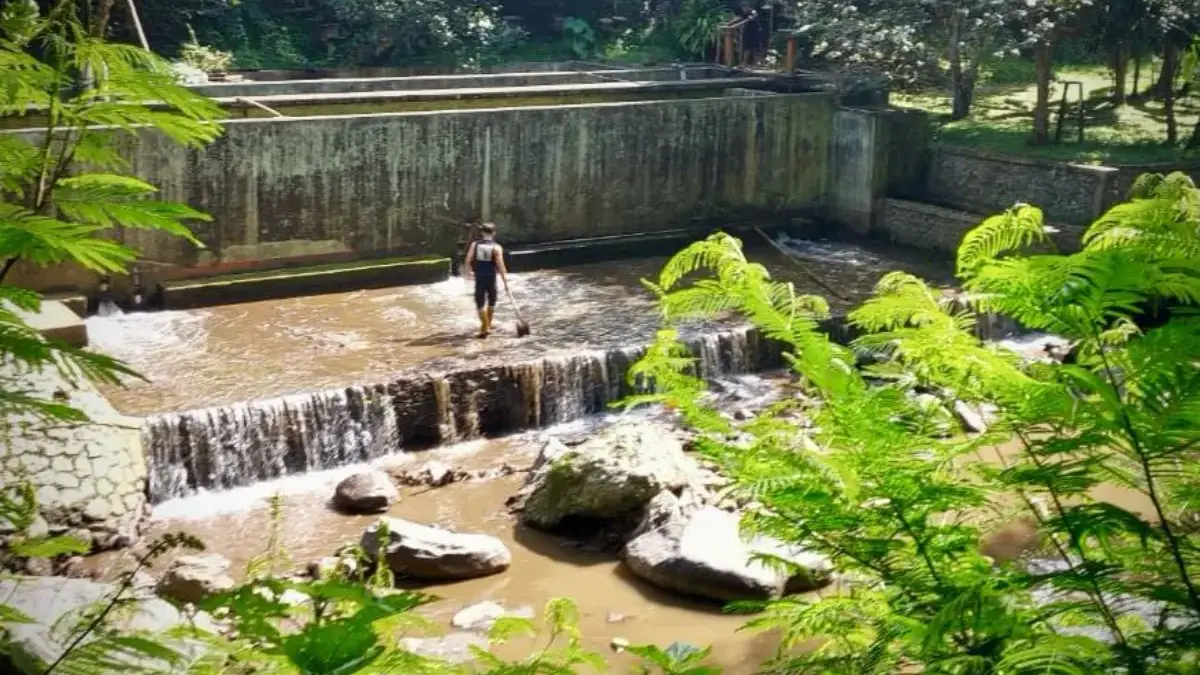 Aliran Sungai Tercemar Kotoran Sapi, Warga Bandung Barat Kehilangan Pasokan Air Bersih