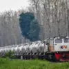 Kereta Khusus Petani Segera Launching, Wamen BUMN Sebut Ini Tujuannya!