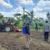 Petani Milenial Kota Banjar Garap 1,5 Hektare Lahan Jagung untuk Ketahanan Pangan