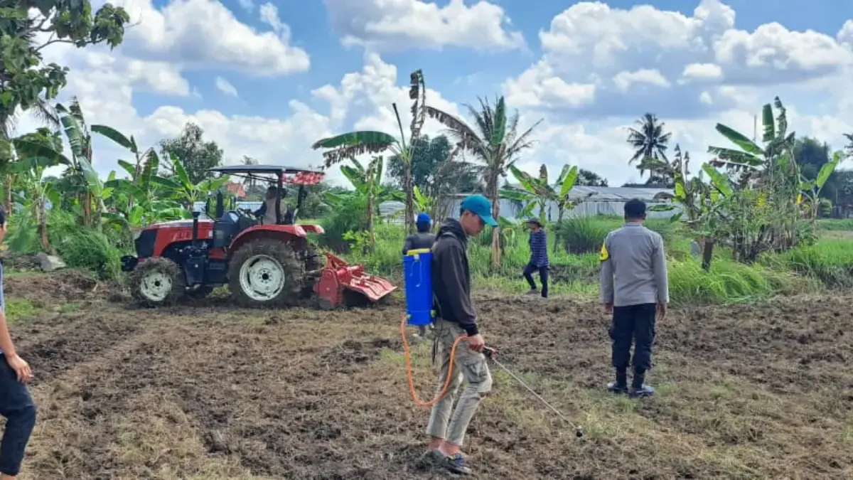 Petani Milenial Kota Banjar Garap 1,5 Hektare Lahan Jagung untuk Ketahanan Pangan – jabarekspres.com