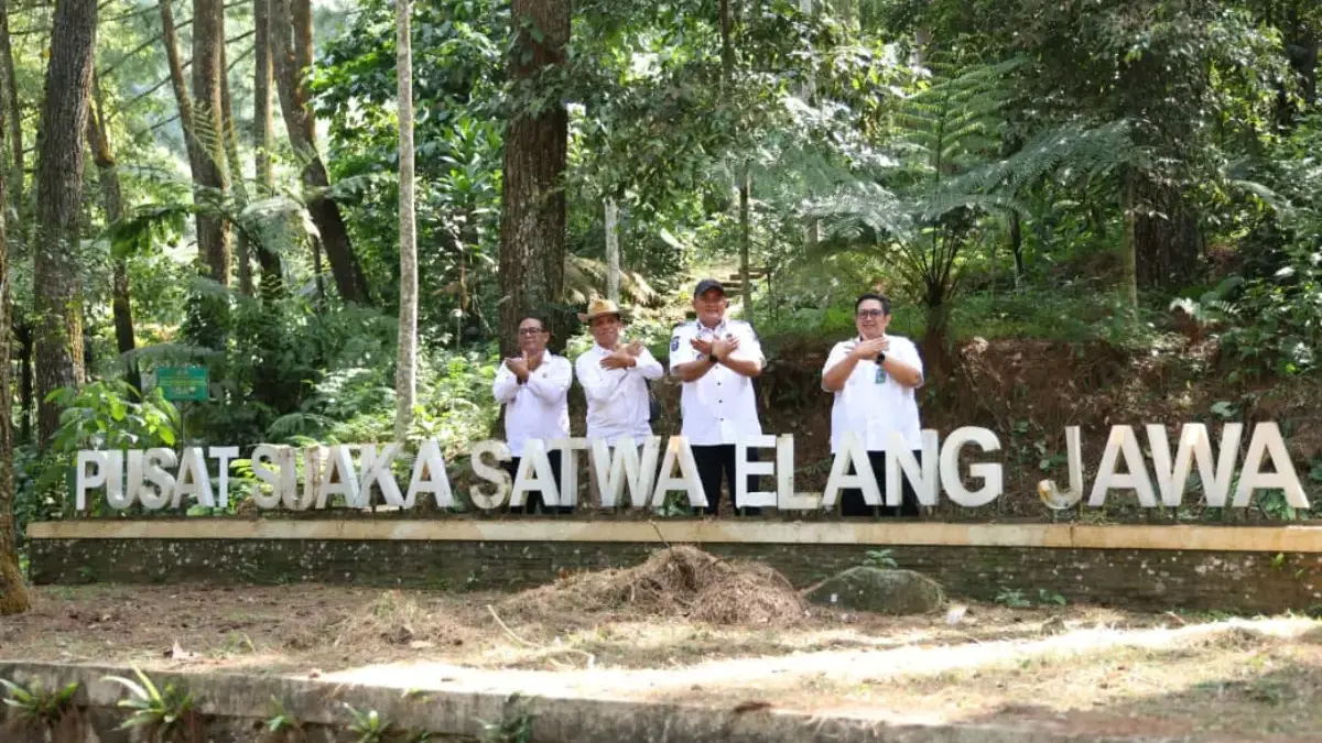 Bupati Bogor Tekankan Pentingnya Pelestarian  Elang Jawa, Aset Dunia dari Cigombong