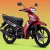 Yamaha Vega Force DB CW