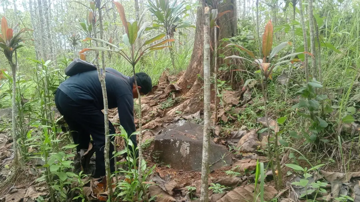 Jejak Ciung Wanara di Situs Geger Sunten, Ciamis Ketua LMDH Geger Sunten, Dodo Soleh Wijaya, berada di lokasi Situs Geger Sunten, Desa Tambaksari, Kecamatan Ta