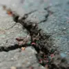 Kota di Indonesia yang Paling Aman dari Gempa dan Tsunami