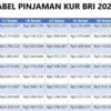 Tabel KUR BRI 2025 Paling Baru dan Super Lengkap Plafon 1 Juta Hingga 100 Juta Rupiah yang Cocok untuk UMKM!