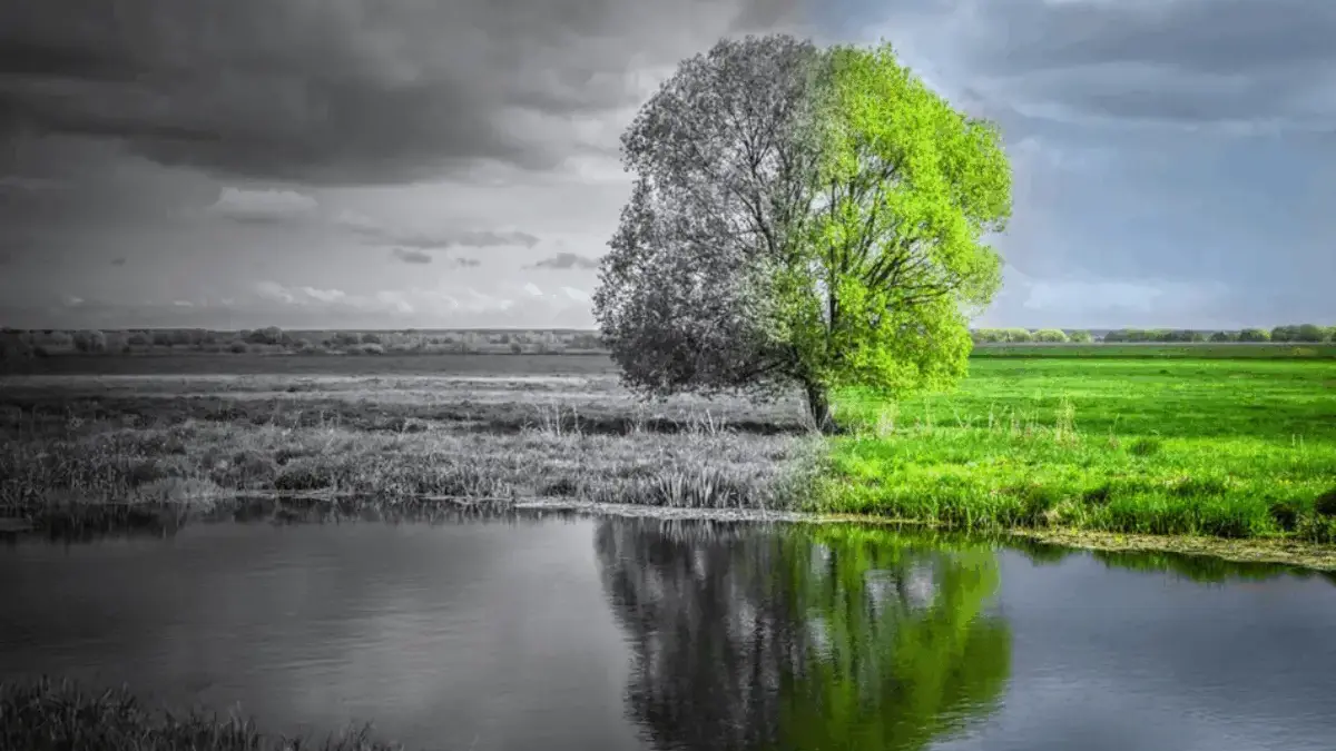 Sudah Puncak Musim Kemarau 2025 Tapi Masih Diguyur Hujan? Ternyata Ada Fenomena Ini Musim Kemarau 2025 Tapi Masih Diguyur Hujan? Ternyata Ada Fenomena Ini
