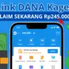 Cepetan Ambil Saldo DANA Gratis Rp245.000 dari Link DANA Kaget Ini