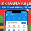 Segera Klaim Saldo DANA Gratis Rp238.000, Cuma 1 Kali Kesempatan!