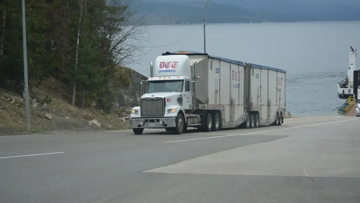 Tronton di Bogor Tabrak Pembatas Jembatan dan Hampir Terjun Bebas, Ini Penyebabnya! 