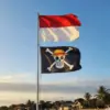 Media Luar Ikut Soroti Polemik Pengibaran Bendera One Piece di RI
