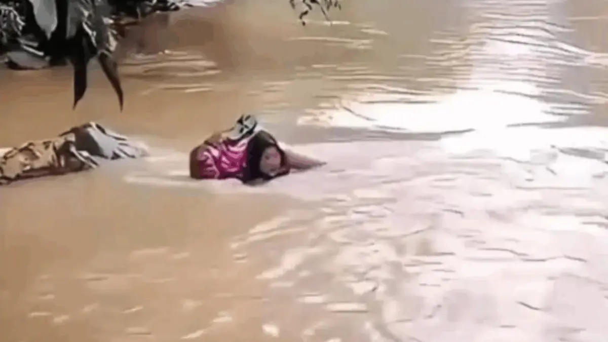 Viral! Aksi Heroik Bidan Seberangi Sungai Demi Obati Pasien di Wilayah Terisolasi Viral! Aksi Heroik Bidan Seberangi Sungai Demi Obati Pasien di Wilayah Terisolasi