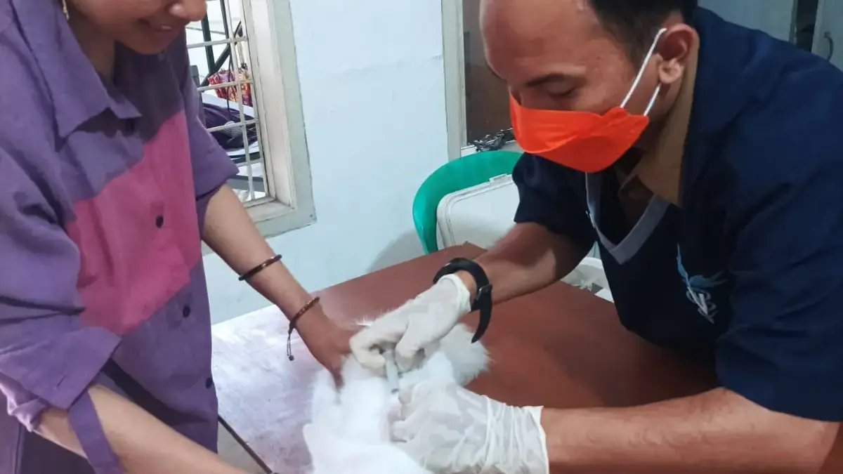 Cegah Rabies dan Flu Burung, Pemkot Cimahi Gencarkan Vaksinasi Gratis Hewan Peliharaan Sejumlah Warga saat Mengikuti Program Siterang Dispangtan Kota Cimahi (Dok: Disapngtan Cimahi)