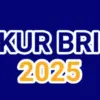 Angsuran KUR BRI 2025 Terbaru di Bulan September 2025 Pinjaman 300 Juta Cicilan 55 Ribu, Cek Disini!